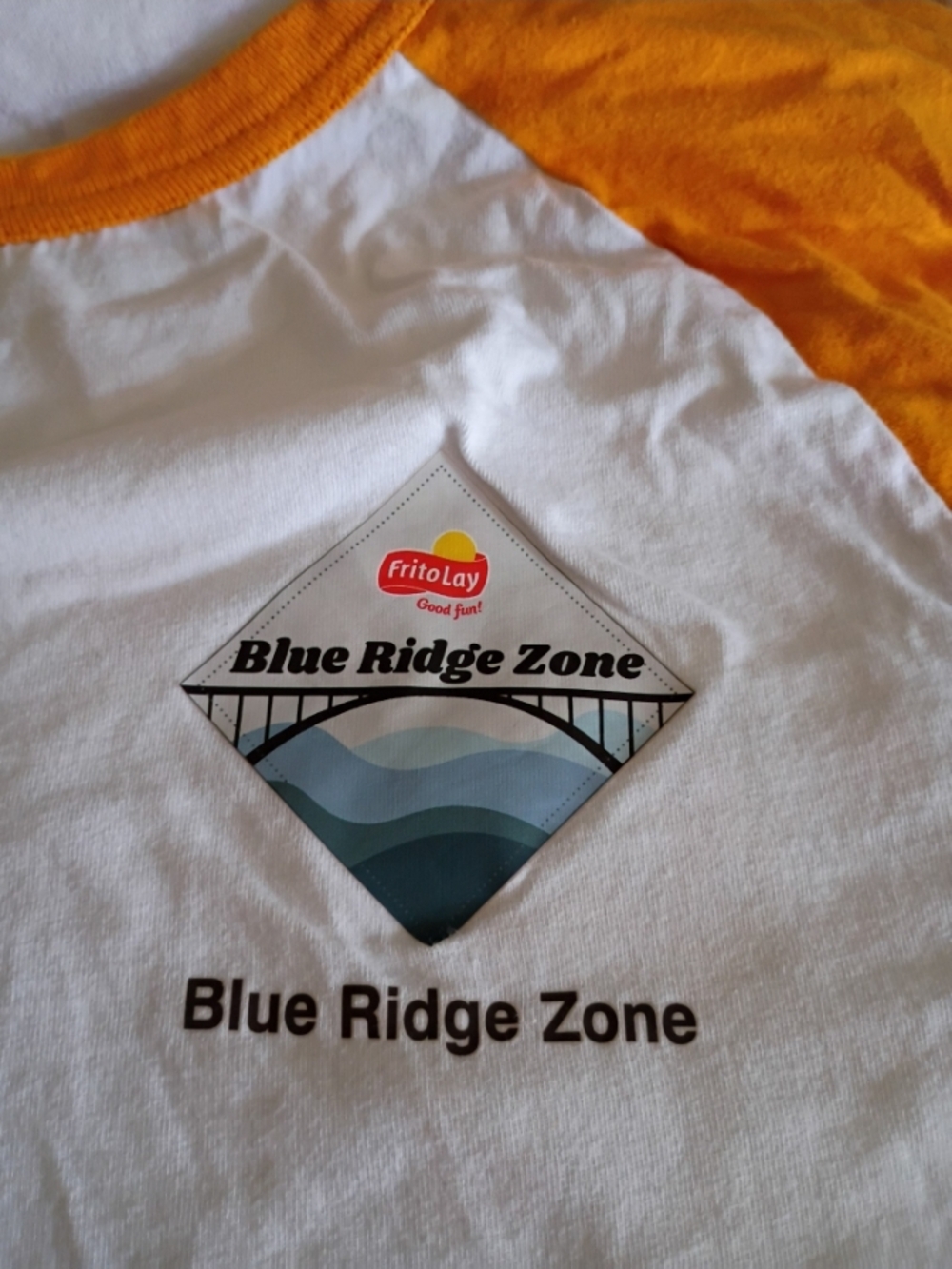 Frito-Lay "Blue Ridge Zone" - Long Sleeve Work Shirt - S